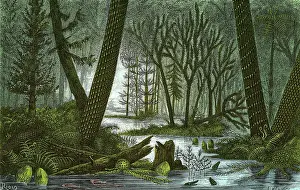 Riou: Marshy Carboniferous Forest, Illustration