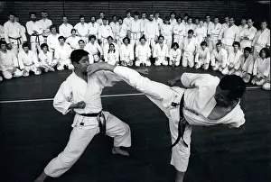 Kato: Martial Arts