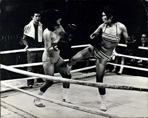 Viewers: Martial Arts