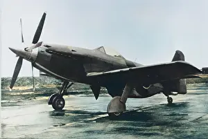 Readied: Martin-Baker MB5 -considered one of the finest piston-e?