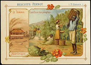 Researchers: Martinique Coffee