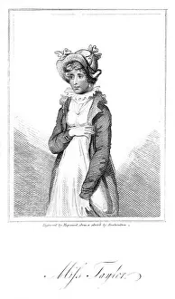 Commissions: MARY ANNE TAYLOR - 2