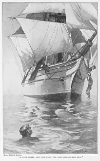 Certainly: Mary Celeste - Fosdyk 1872