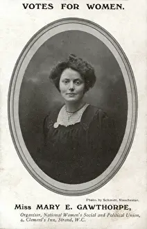 Gawthorpe: Mary E Gawthorpe Suffragette