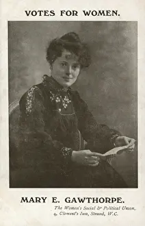 Gawthorpe: Mary E. Gawthorpe Suffragette