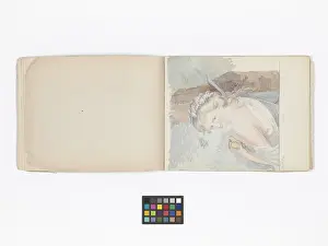 Copied: Mary Gibbs Shapter Drawing Book