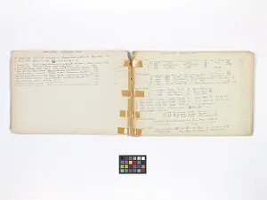 Trinkets: Mary Gibbs Shapter Drawing Book