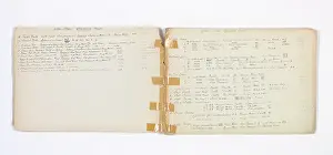 Trinkets: Mary Gibbs Shapter Drawing Book