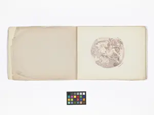 Copied: Mary Gibbs Shapter Drawing Book