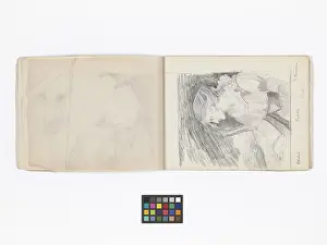 Copied: Mary Gibbs Shapter Drawing Book