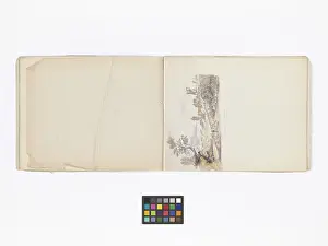 Copied: Mary Gibbs Shapter Drawing Book