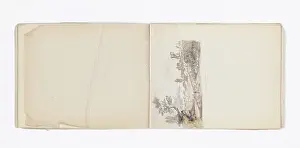 Copied: Mary Gibbs Shapter Drawing Book