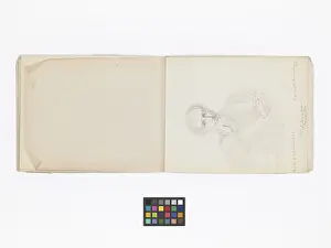 Copied: Mary Gibbs Shapter Drawing Book
