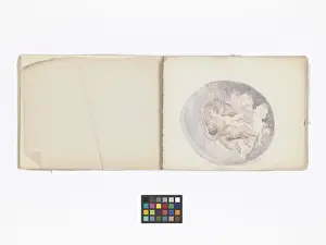 Copied: Mary Gibbs Shapter Drawing Book