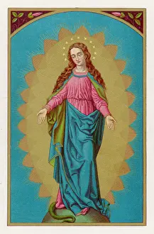 Immaculate: MARY IMMACULATE VIRGIN