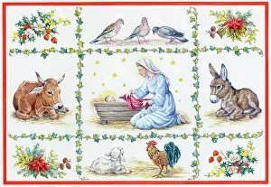 Separated: Mary and Jesus with animals ' donkey, lamb etc