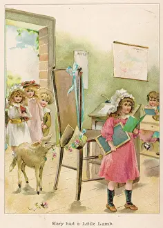 Nibbles: MARY HAD A LITTLE LAMB