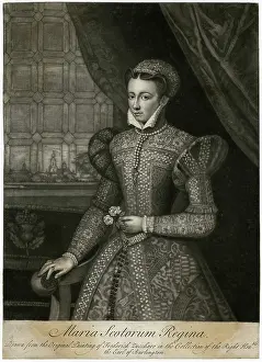 Brocade: Mary, Queen of Scots