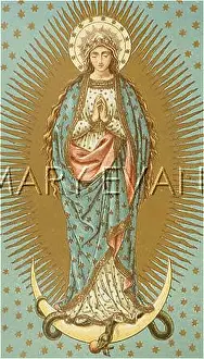 Trampling: MARY WITHOUT SIN