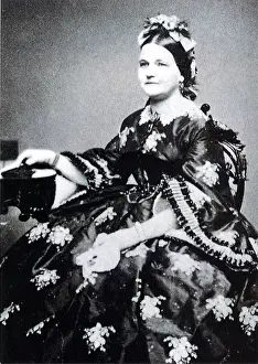 Bureaucracy: Mary Todd Lincoln