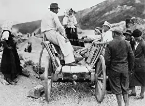 Garrigue: Masaryk with lime