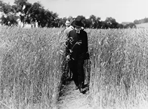 Garrigue: Masaryk walks trough