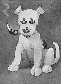 Mascots: Masbadges - 4. The Koyli Terrier