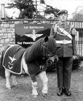Ringway: The mascot of the British army in Berlin: a pony