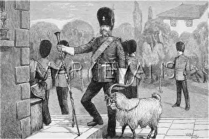 Splendidly: MASCOT, WELSH FUSILIERS