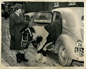Wraf: Mascot of the WRAF