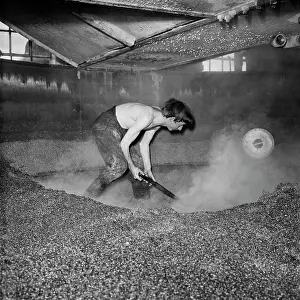 Shovelling: Mash tun being dug out after wort removed