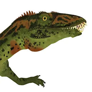 Close Up: Masiakasaurus dinosaur head