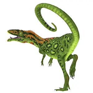 Terrible: Masiakasaurus dinosaur on white background