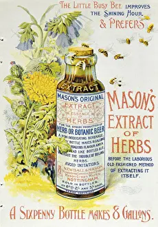 Masons: Mason's Extract of Herbs, c. 1890
