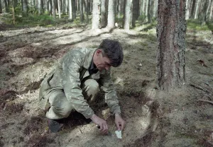 Dmitriev: Mass grave in Karelia