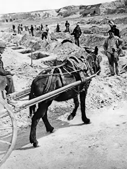 Shoveling: Mass graves of the fallen in Madrid, 1939