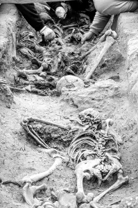 Aranda: Mass graves from the spanish Civil War 2003