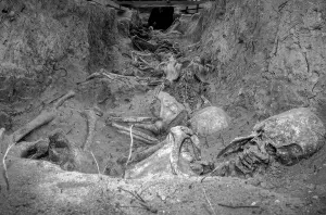 Aranda: Mass graves from the spanish Civil War 2003
