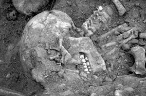 Aranda: Mass graves from the spanish Civil War 2003