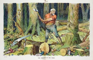 Homesteader: The massacre of the trees