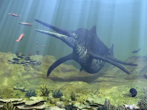 Ichthyosaur: A massive Shonisaurus attempts to make a meal of a school ?