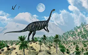 Massospondylus: A Massospondylus dinosaur