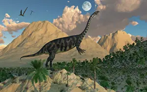 Massospondylus: A Massospondylus dinosaur