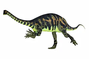 Massospondylus: Massospondylus dinosaur running, side view on
