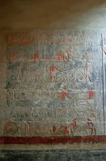 Sixth: Mastaba of Mereruka. Saqqara. Egypt