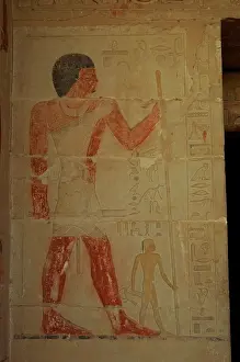 Deceased: Mastaba of Nhnumhotep and Niankhkhnum. Royal srvant. Egypt