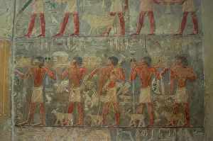 Serf: Mastaba of Ptahhotep and Akhethotep. Egypt