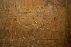 Ptah: Mastaba of Ptahhotep and Akhethotep. Egypt