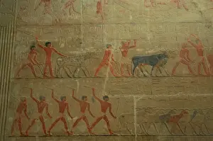Plow: Mastaba of Ti. Interior. Egypt