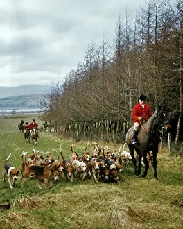 Pooch: Master of Foxhounds in Red Jacket on Horseback